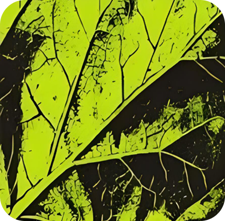 HRMS Reqruitment logo